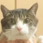 ひと