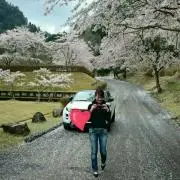 ☆テネラ☆断捨離中(*・ω・)の画像