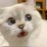 Nicxtremeの画像