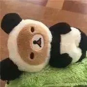 さーの画像