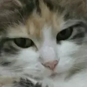 ランイチの画像