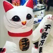 メルシーボクゥの画像