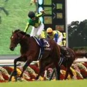 ⭐︎サトノダイヤモンド⭐︎