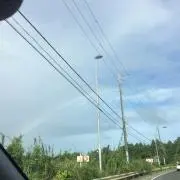 はな