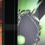 ぶどう