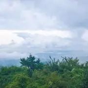 nnの画像