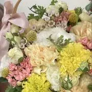 Smileの画像
