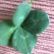 R.k