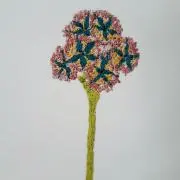 a_dの画像