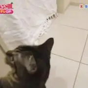 ℬ10月～発送に時間かかりますの画像