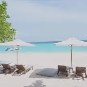 たくぼーの画像
