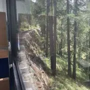 あおの画像
