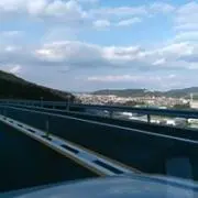 saradatomato7の画像
