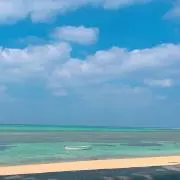 nagiの画像