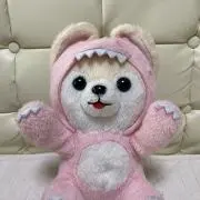 サスケの画像