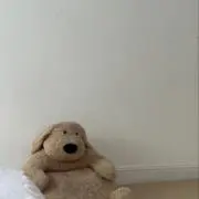 ピクミン