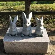 Miの画像