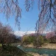 Toshihide Osaka