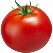 tomatoの画像