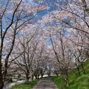 まさの画像