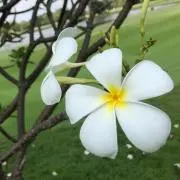 アキ50