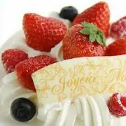 Human Nature Daikichi Amano 写真集 本 天野大吉 - メルカリ