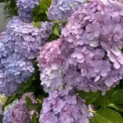 プロフィール必読☆miの画像