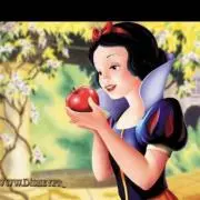 しらゆき
