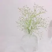m1lkの画像