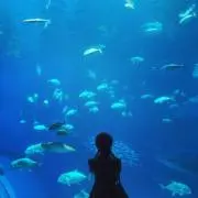Kanaria＊の画像