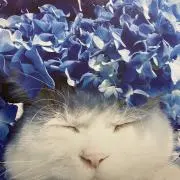 メルモ