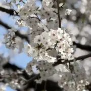 あす→値下げ交渉OKの画像