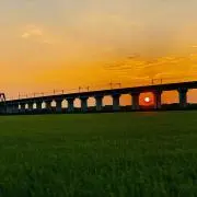 フジヤン★の画像