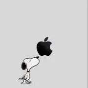 よしき