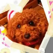 メメ
