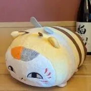 Kapiの画像