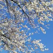ユウ※プロフ必読の画像