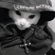 煌の画像