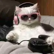 ももきゃの画像