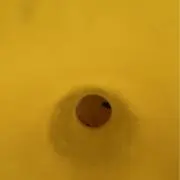 ミホの画像
