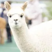 よしちゃん★プロフ必読★の画像