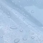 taの画像