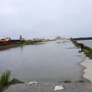頑張ります