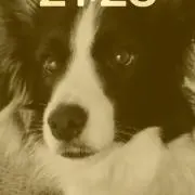 R プロフ必読