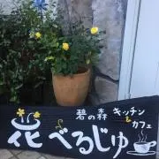 陽桃
