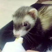 mimi⸜❤︎⸝‍の画像
