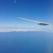 あおの画像
