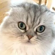 Mの画像