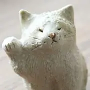 ポン太の画像
