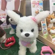 ももも